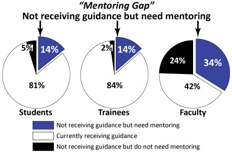 Mentoring Gap
