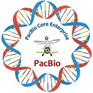 UMass Chan PacBio Core Enterprise logo