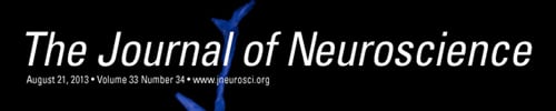 Journal of Neuroscience Link