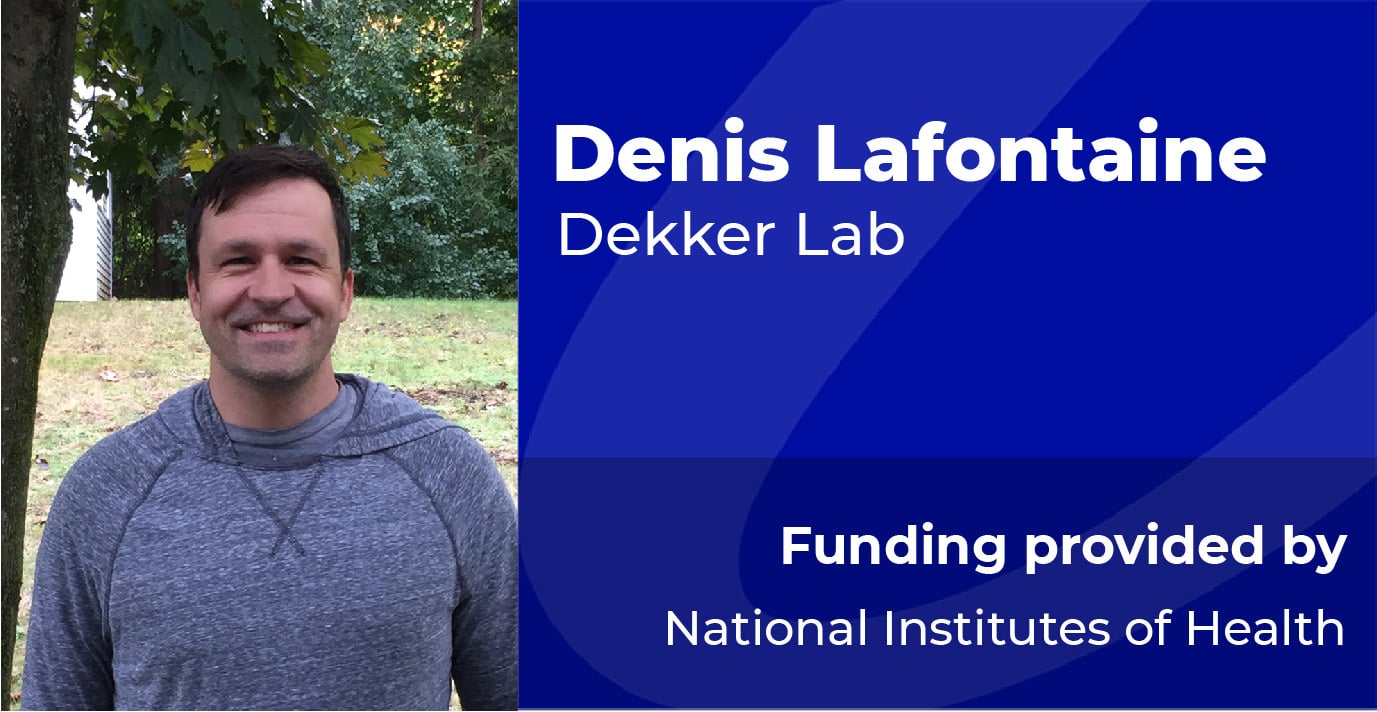 Denis Lafontain, Dekker Lab, Funding provided by National Institutes of Health