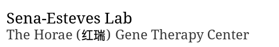 Sena-Esteves Lab for Gene Therapy