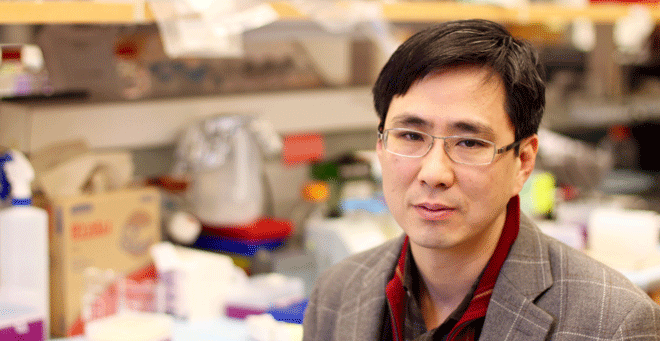 Jun Huh, PhD