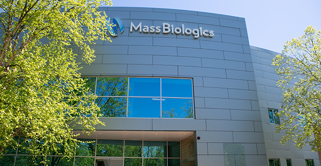 New study: MassBiologics discovers antibodies that may protect against COVID-19