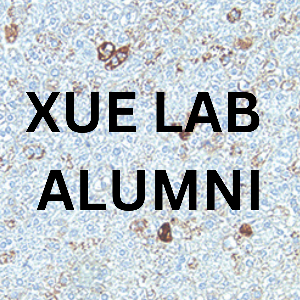 Xue Lab Alumni