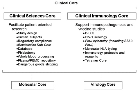 Clinical Care Chart
