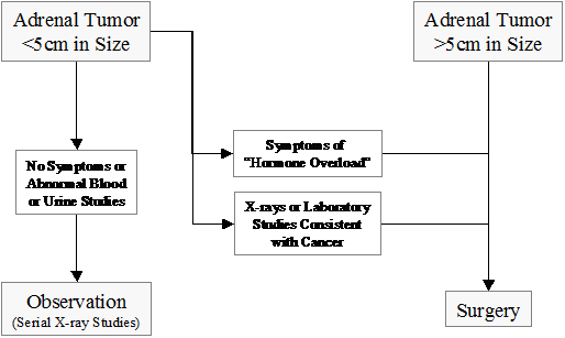 adrenalCancerChart