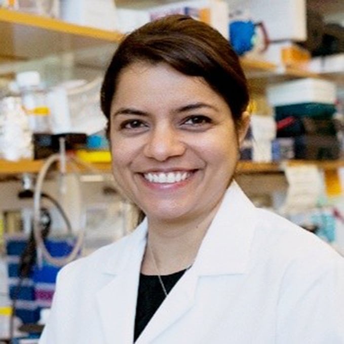 Harleen Saini, PhD