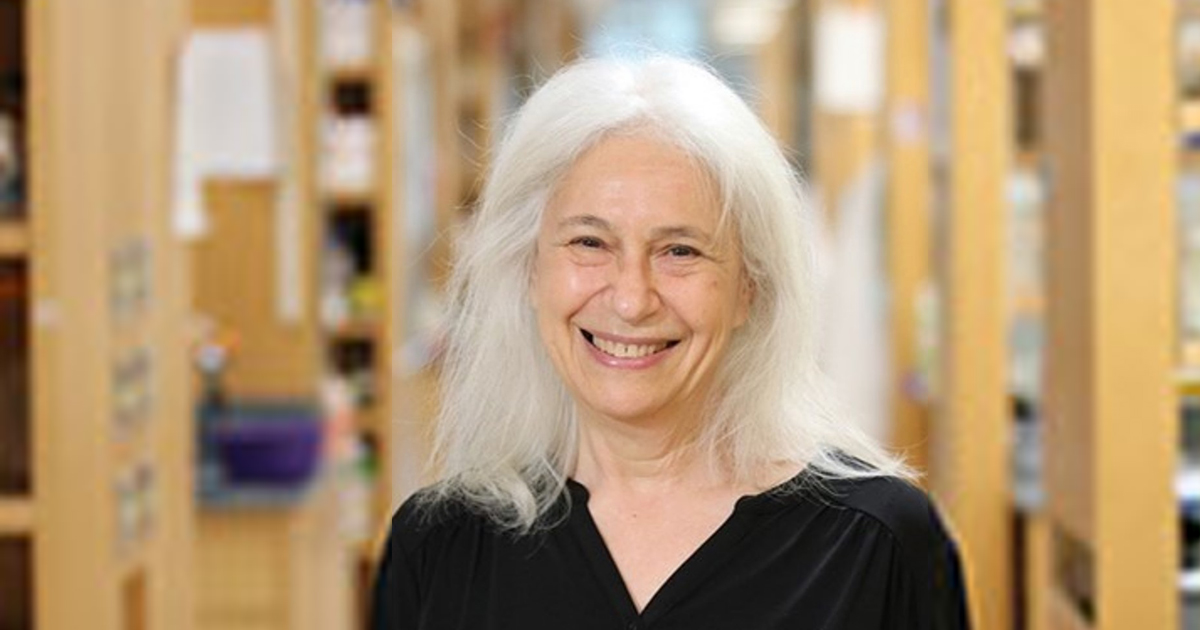 Ann Rothstein, PhD