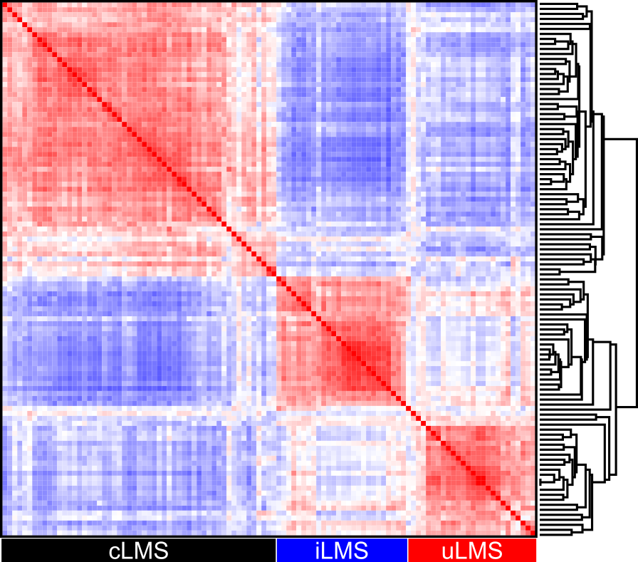 Clustering of gene expression data demonstrating three distinct molecular subtypes of leiomyosarcoma