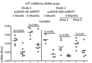 miRNA rAAV reduces mutant Huntingtin mRNA in transgenic sheep model