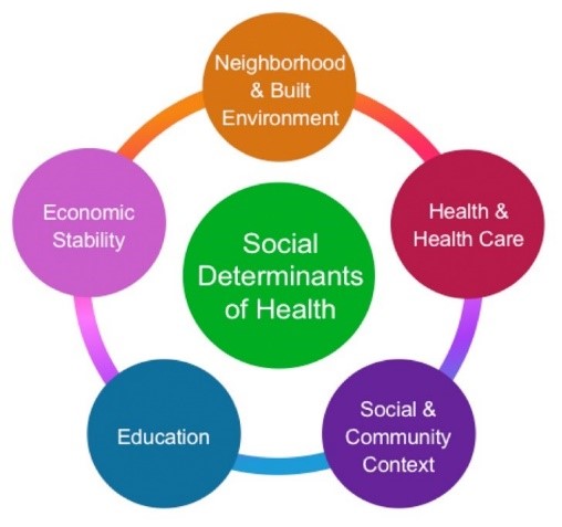 A diagram of health and social determinants of healthDescription automatically generated