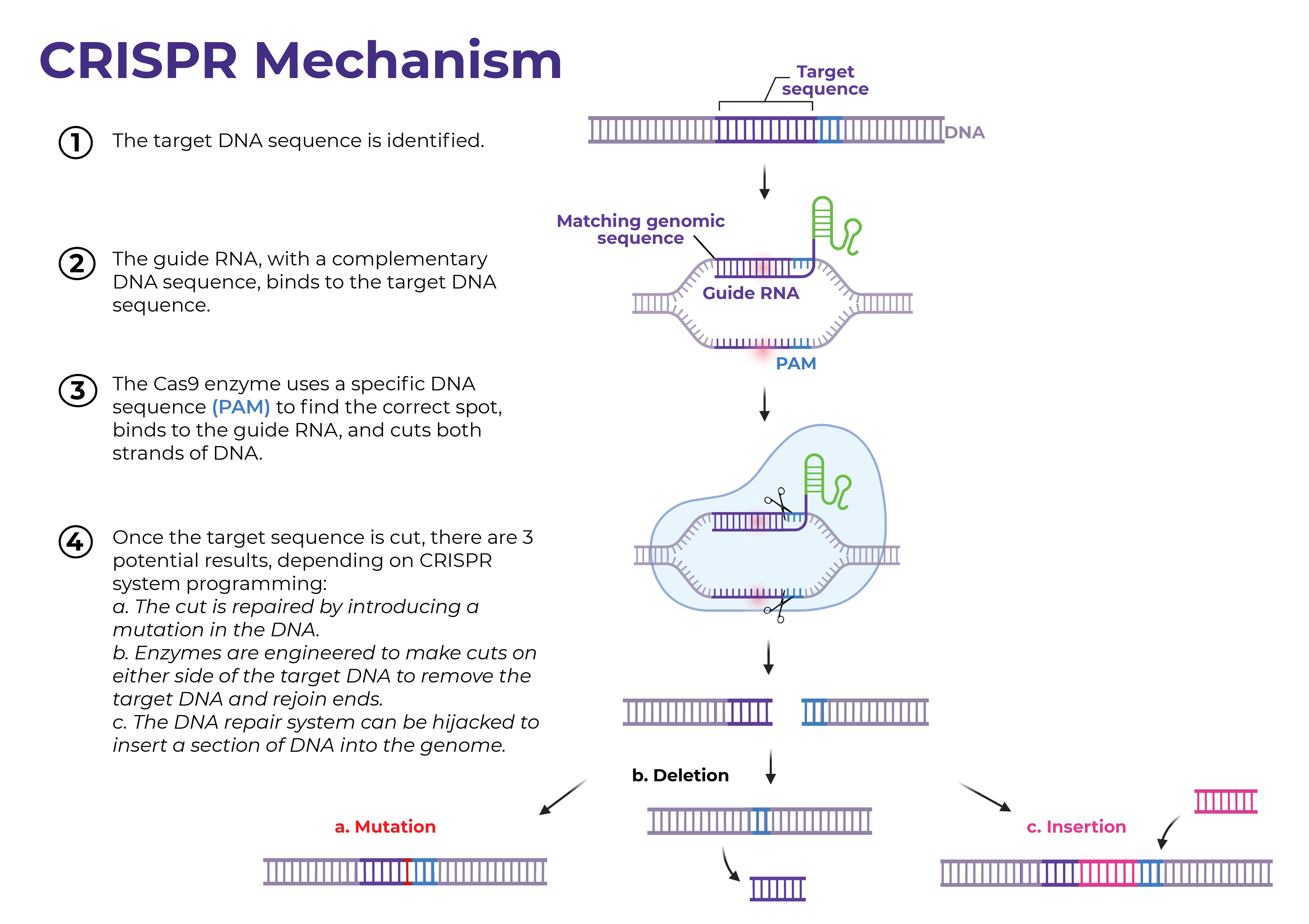 crispr technology research paper