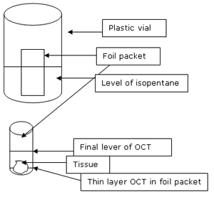 diagram of vial