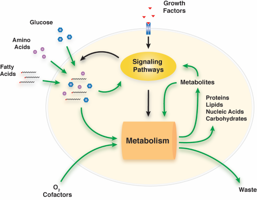 Signaling & Metabolism