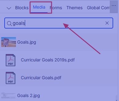 CMS media pane