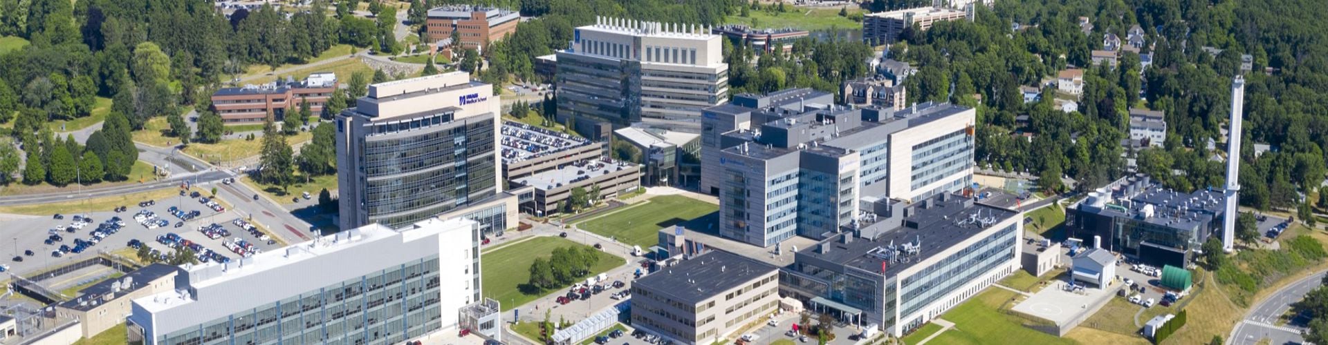 Anesthesiology new header.png