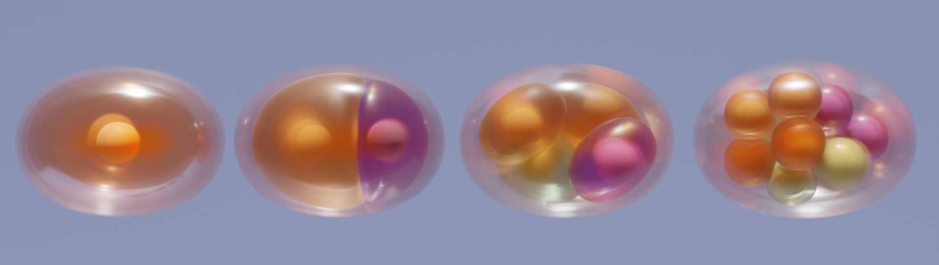 embryos cropped.png
