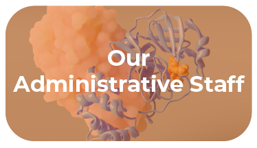  a blob and ribbons illustrating a protein with the text our administrative staff