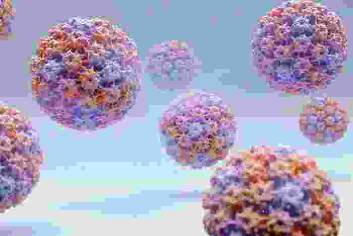 a close up of several viruses that look like soccer balls 