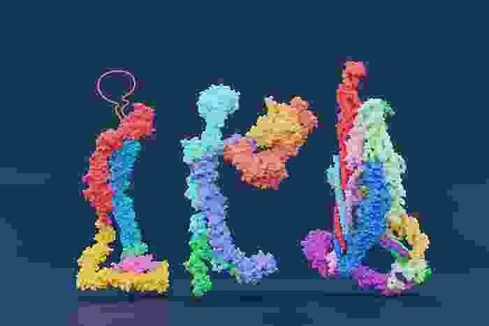a closeup of three different protein complexes looking like LEGO sets in a colorful palette