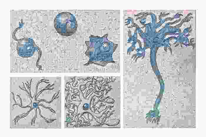 a grid of drawings in blue pencil of different neuron types 