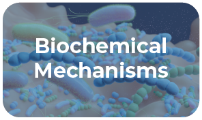 bmb research category button biochemical mechanisms.png