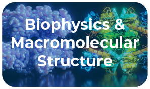  bmb research category button biophysics and macromolecular structures.png