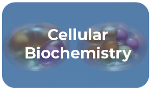  bmb research category button cellular biochemistry.png