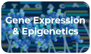  bmb research category button gene expression and epigenetics.png