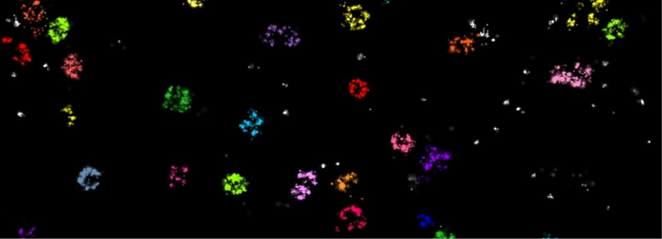 SuperRes CALM background.jpg