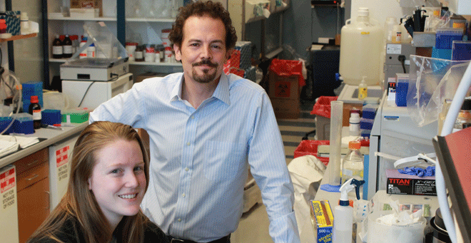 UMass Chan-scientists-reveal-new-phase-of-HIV-infection