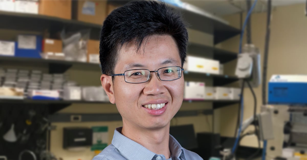 Jianhan Chen, PhD