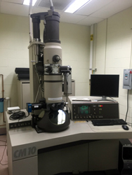 Transmission Electron Microscope-Phillips CM10