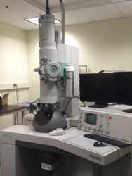 Transmission Electron Microscope CM120