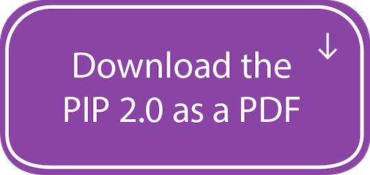 PIP 2.0 PDF