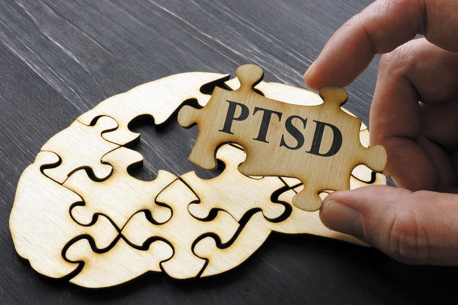 hand hold puzzle piece imprinted with PTSD