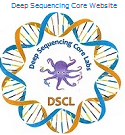 UMMS Deep Sequencing Core logo linking to website