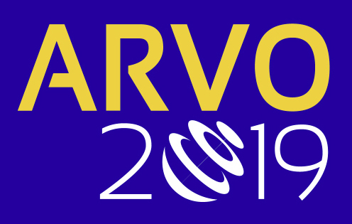 UMASS Ophthalmology at ARVO 2019