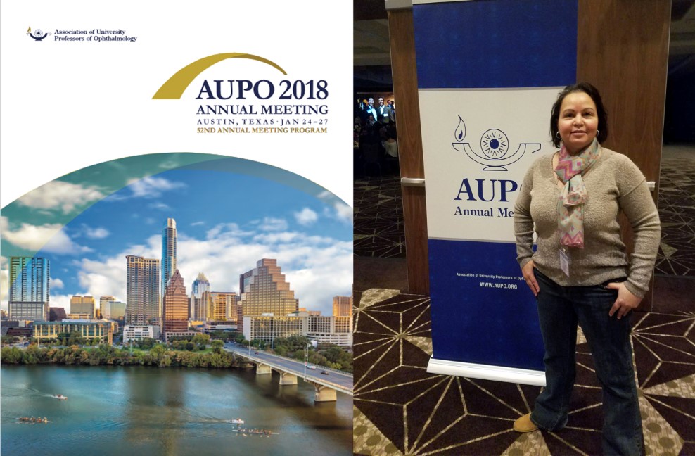 Association of University Professors of Ophthalmology (AUPO)