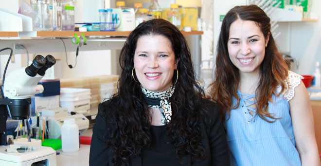 Marian Walhout, Ph.D., and MD/PhD student Aurian Garcia-Gonzalez