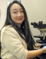 Jennifer Wang UMass Diabetes research