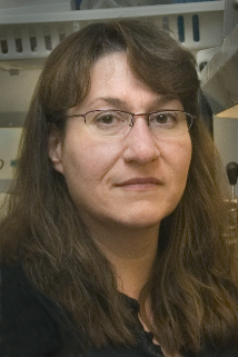 Sally Kent, PhD