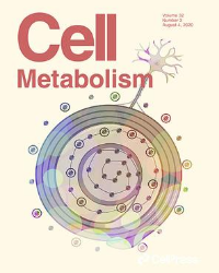 Cell Metabolism Type 2 Diabetes Research