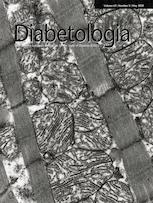 diabetologia-pancreas-type-1-diabetes-study-david-harlan.jpg