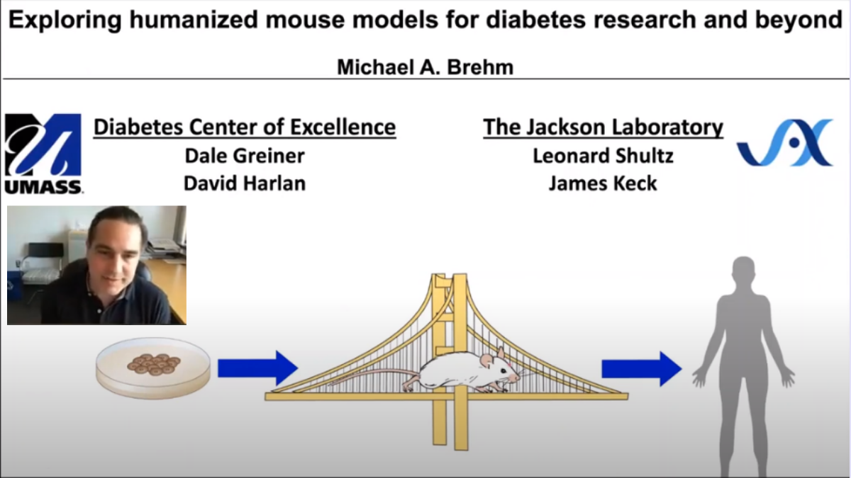 Michael Brehm Humanized Mouse Models