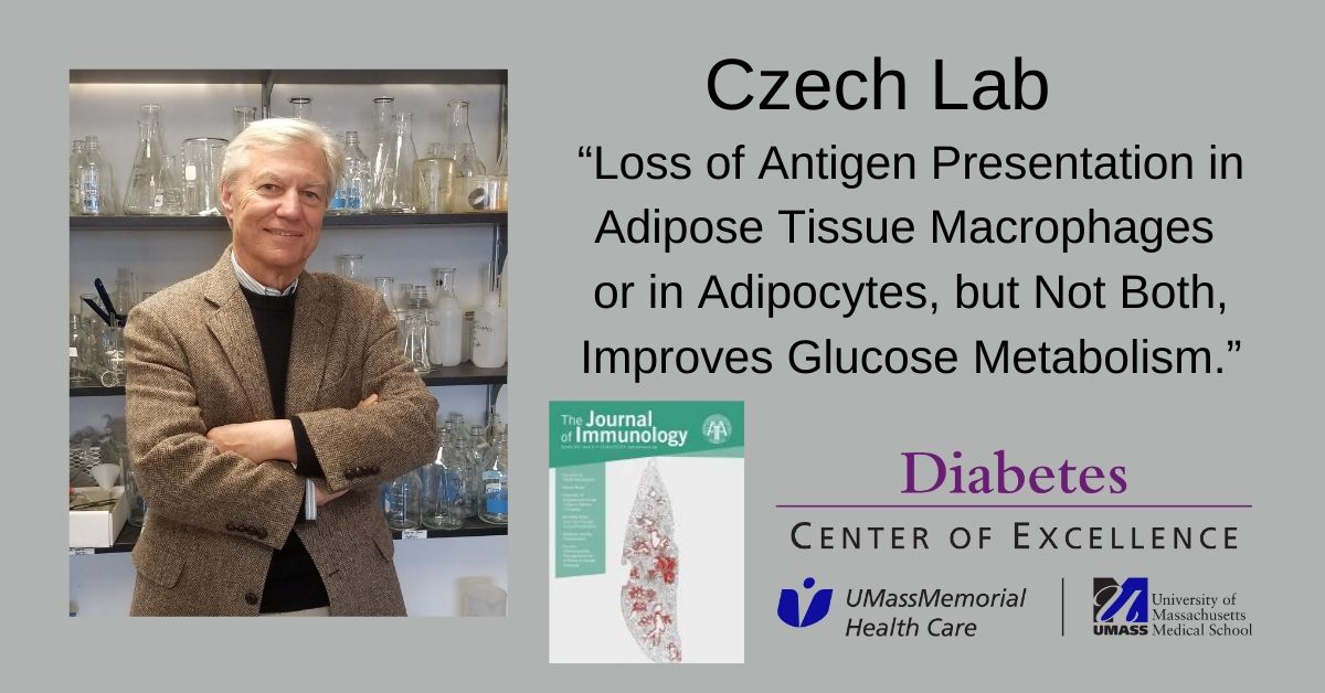  Michael Czech Immunology Adipose Tissue
