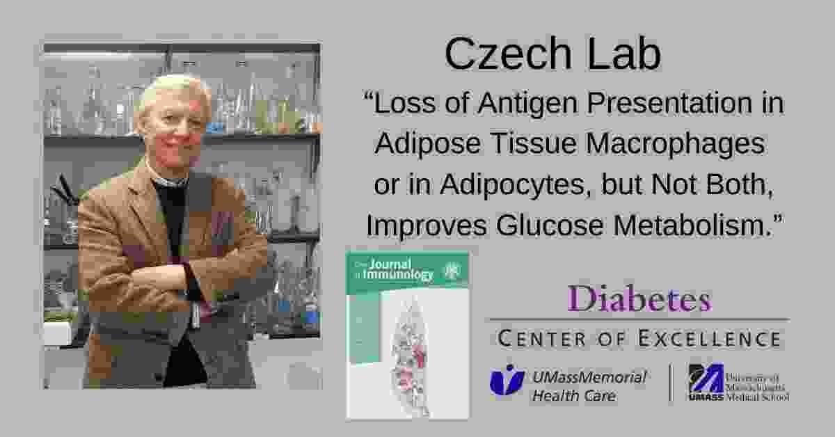  Michael Czech Immunology Adipose Tissue