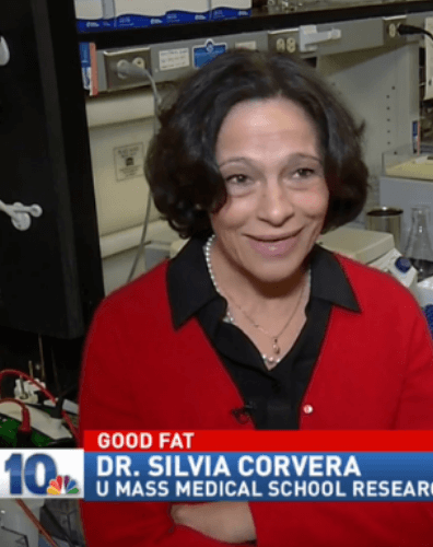 Silvia Corvera Lab Adipocyte studies