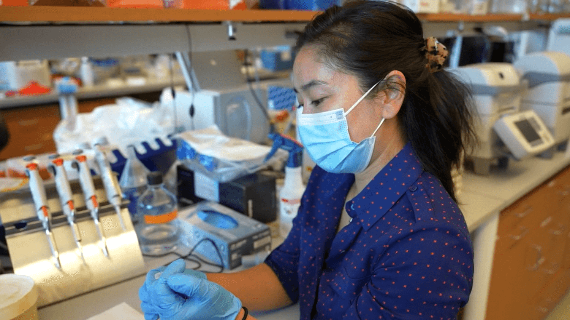 Tammy Nguyen Type 2 Diabetes Wound Healing Research