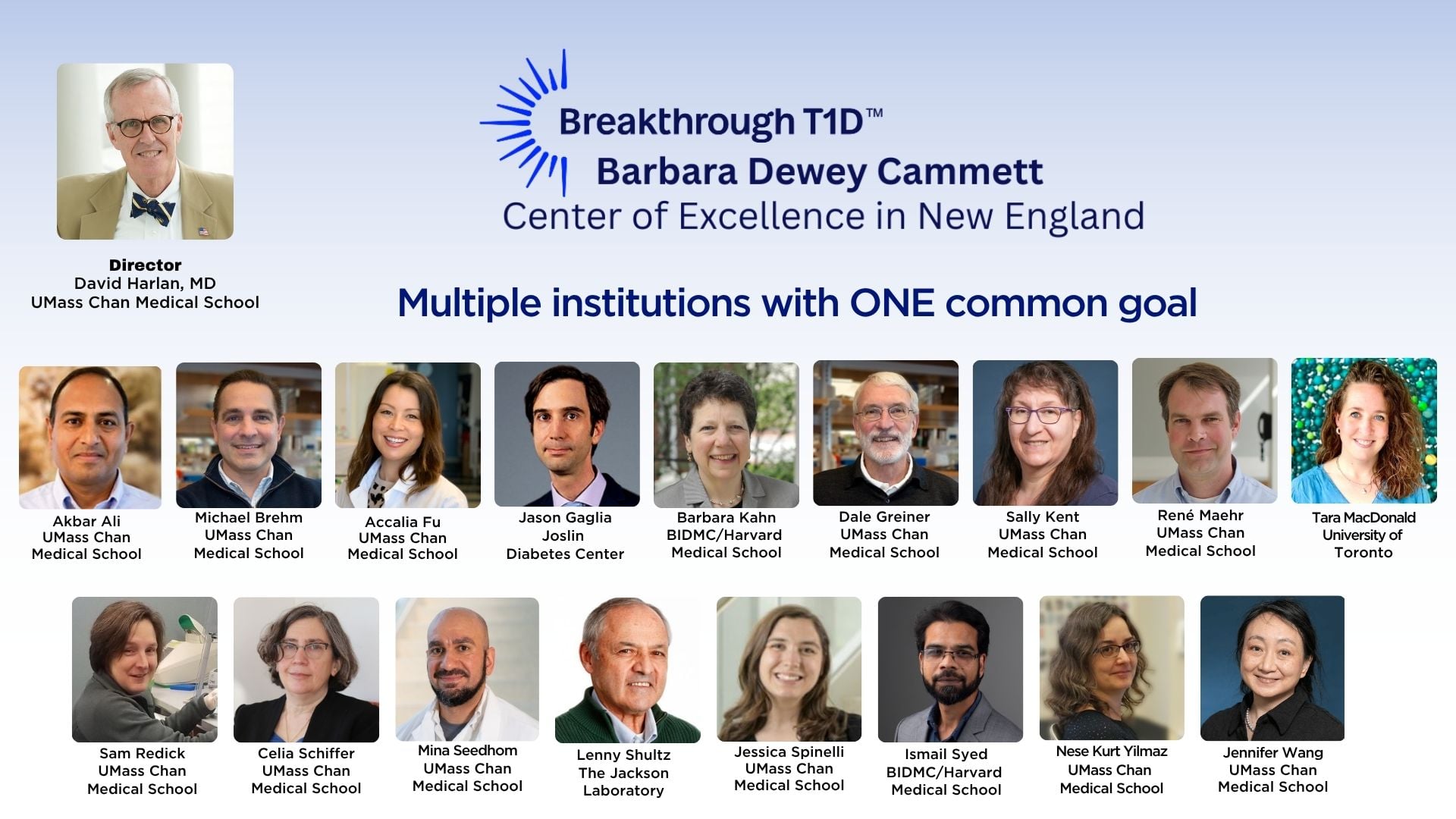 Headshots of all Breakthrough T1D Center of Excellence investigators with the BT1D logo
